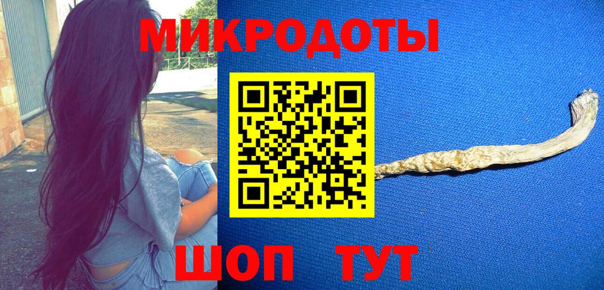 Галлюциногенные грибы Psilocybine cubensis Новозыбков